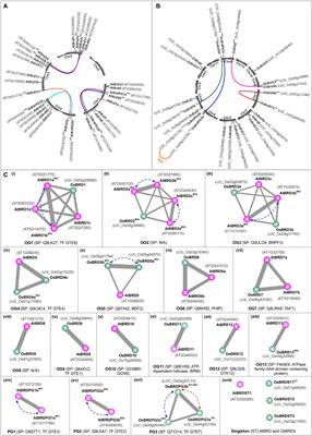 Genome-wide analysis of bromodomain gene family in Arabidopsis and rice